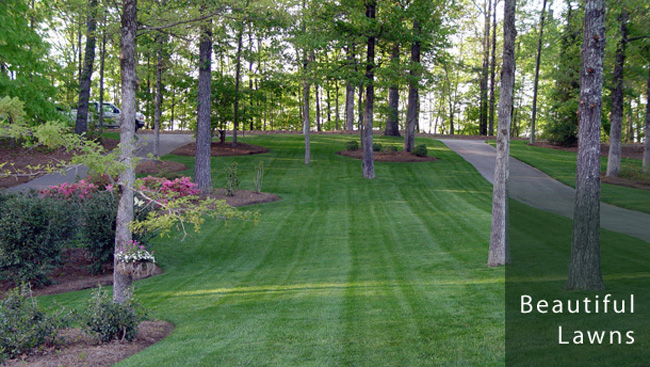 Fertilization & Weed Control